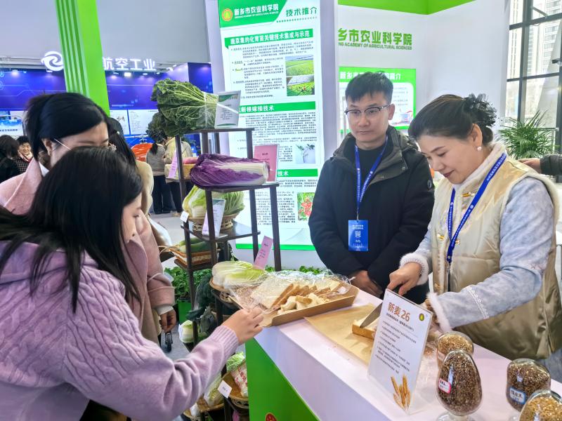 高博会变身“科技嘉年华” 市民畅享科技魅力